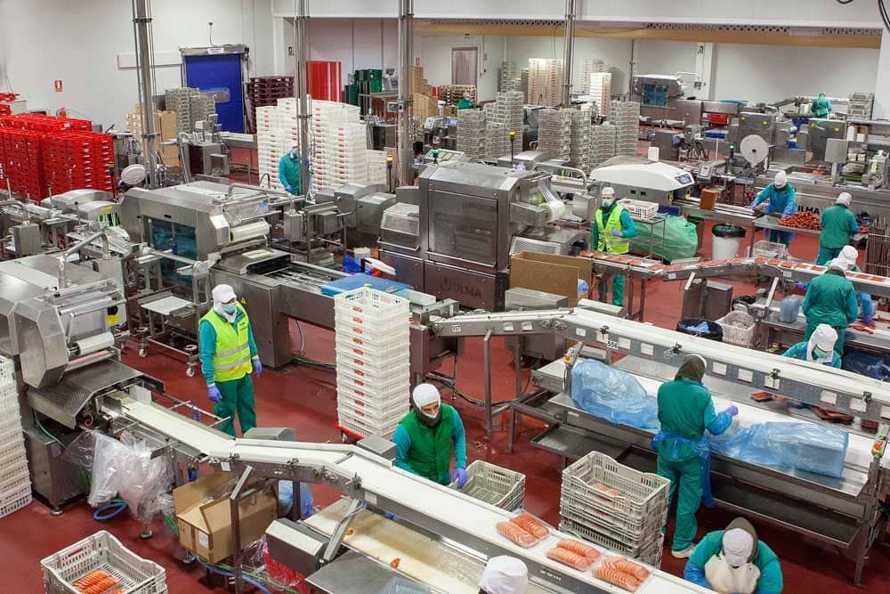 Emcesa alcanza los 60 millones de euros de facturación en 2024