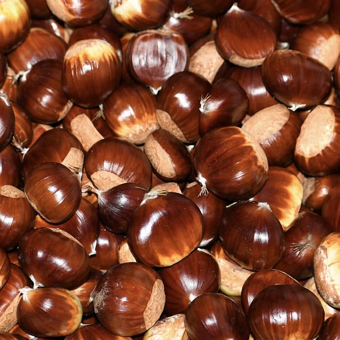 Los sabores de otoño llegan a Catalunya de la mano de la Teca Sàbat