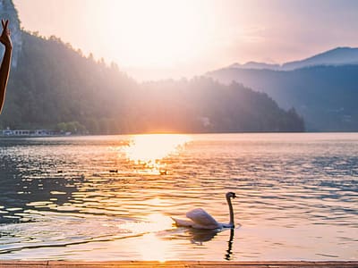De la rutina a la inspiración: Descubre cómo transformar tu estilo de vida y revitalizar tu día a día