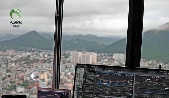 AgroUSD impulsa la inclusión financiera con tecnología blockchain