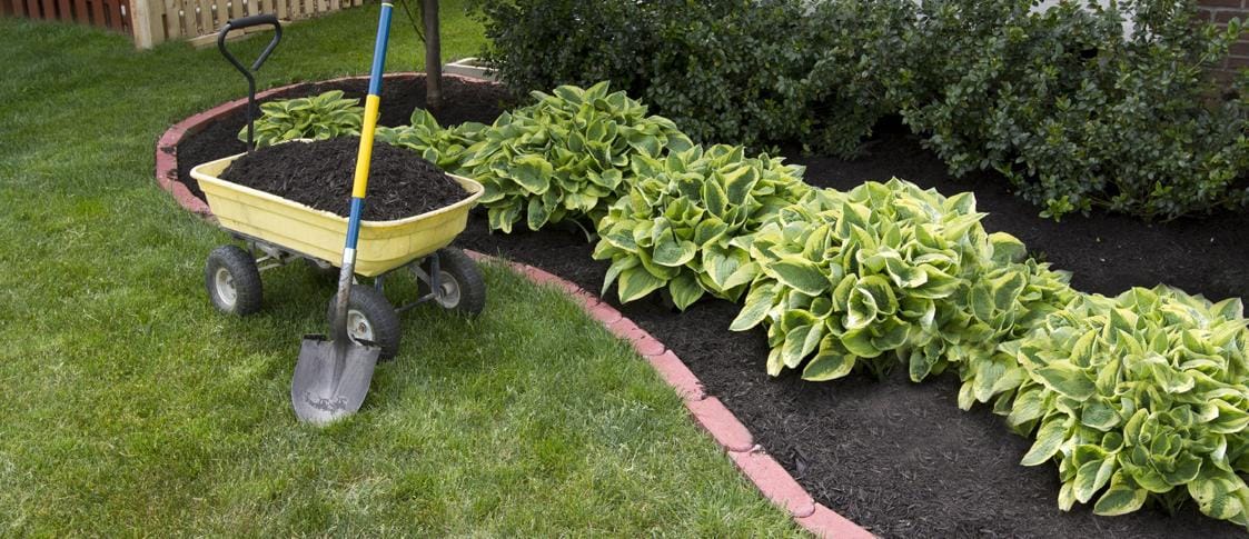 Diseño de jardines 2023