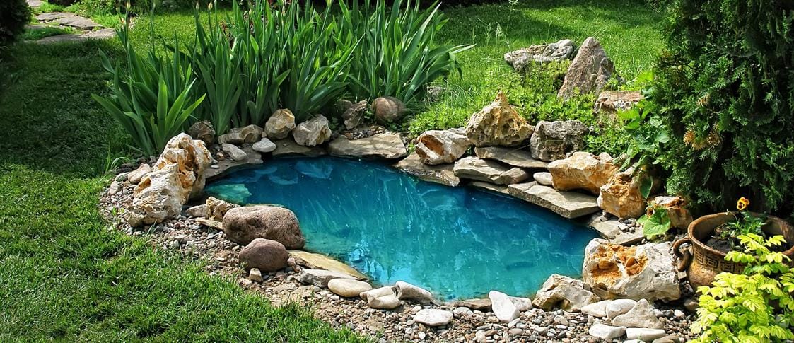 Tendencia en diseño de jardines 2023