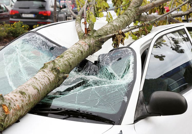 Evitar accidentes y lesiones personales